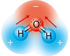 Molecola dell'acqua