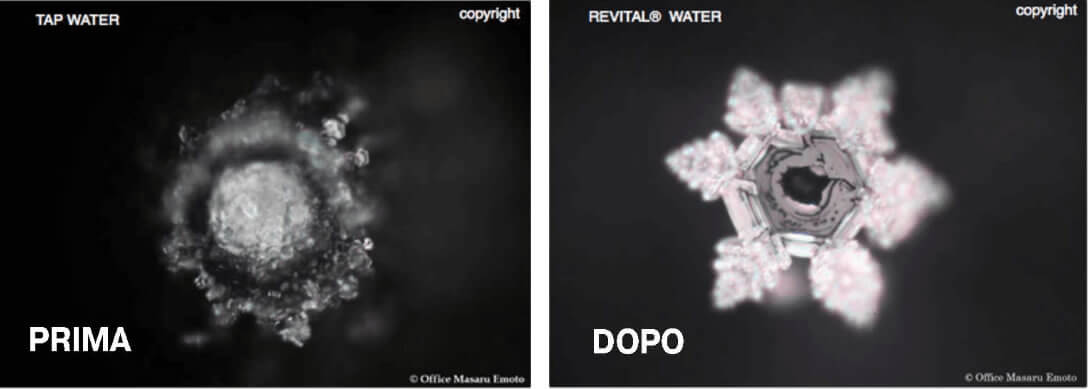 Esito dei test condotti su acqua rivitalizzata e depurata da Revital